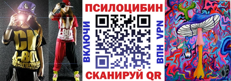 Псилоцибиновые грибы Cubensis  где продают наркотики  Щигры 
