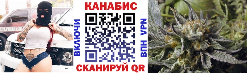 цены наркотик  Щигры  Шишки марихуана индика 